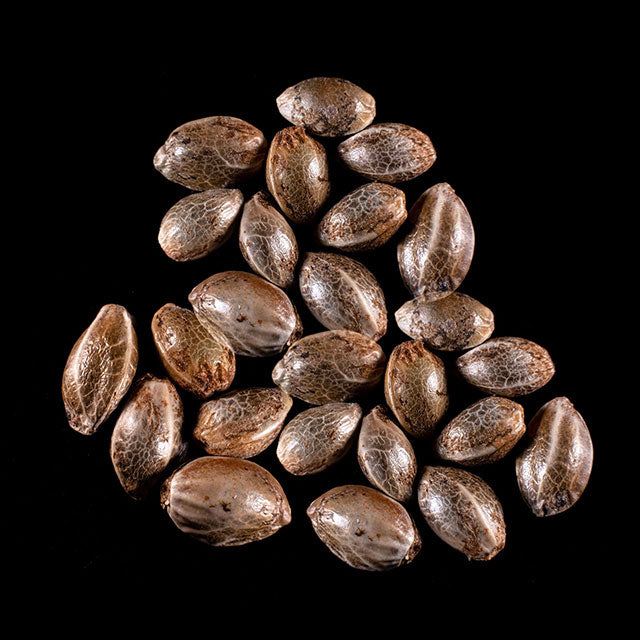 Break-up Cake - 25 Seed