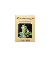Widow 2004 regular (De Sjamaan Seeds)
