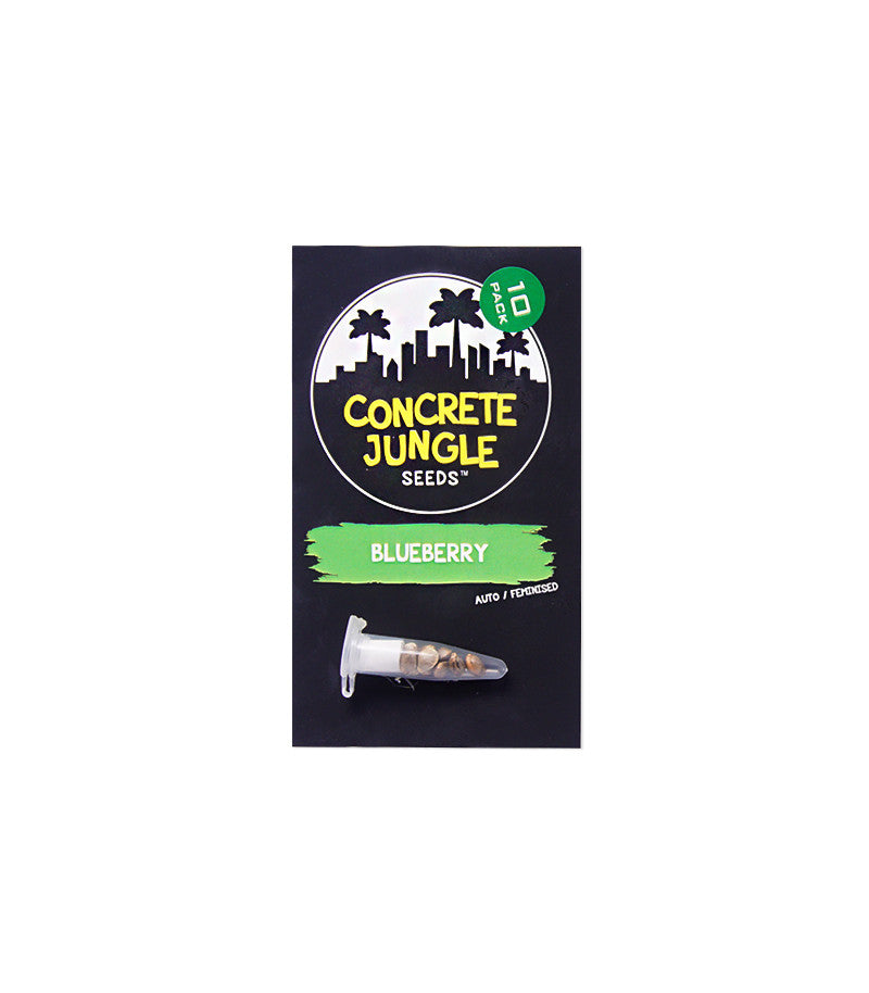 Blueberry Auto (Concrete Jungle Seeds)