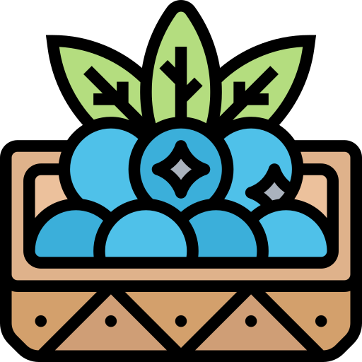 Icon Aroma Blaubeere