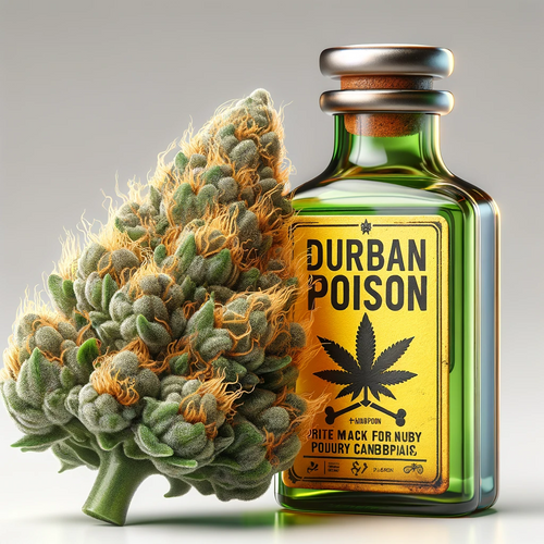Durban Poison