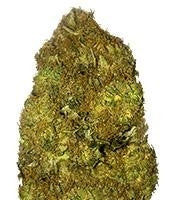 Skunky Monkey Auto (Heavyweight Seeds)