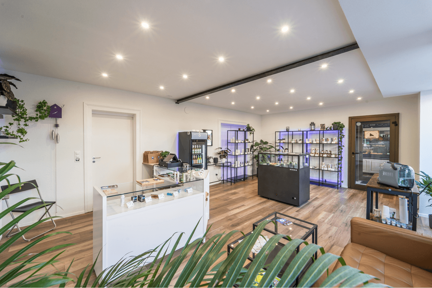 Purple Gorilla CBD Store Bad Säckingen