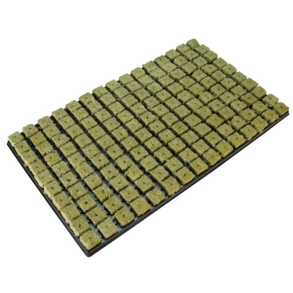 Grodan Stecklingstray 150er Tray