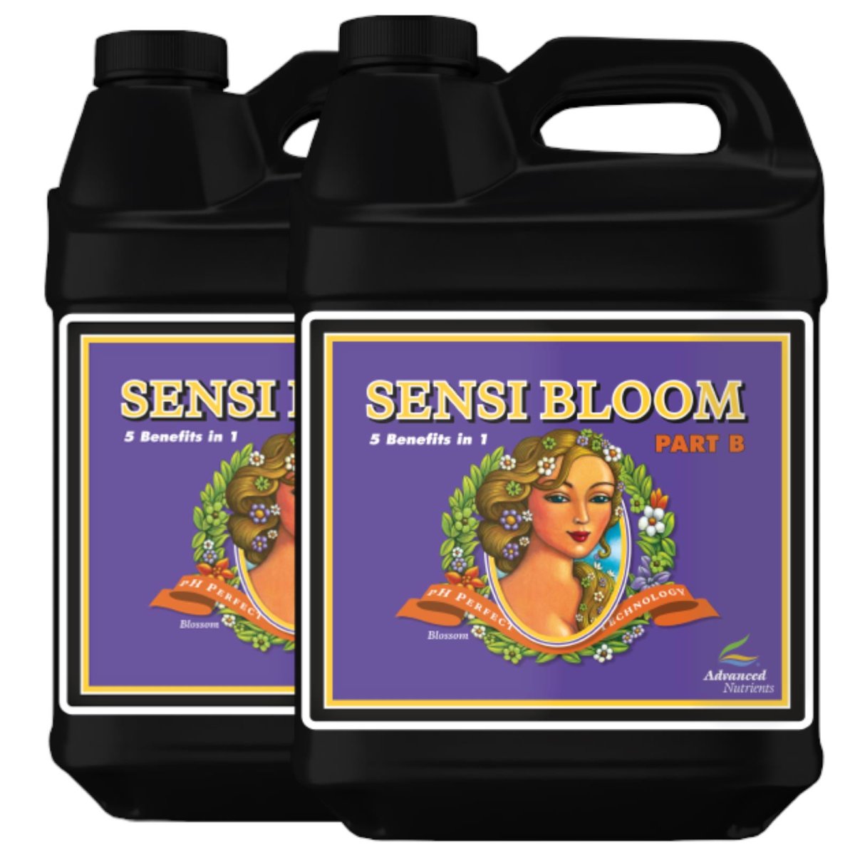 Advanced Nutrients pH Perfect Sensi Bloom Part A + B je 10 Liter
