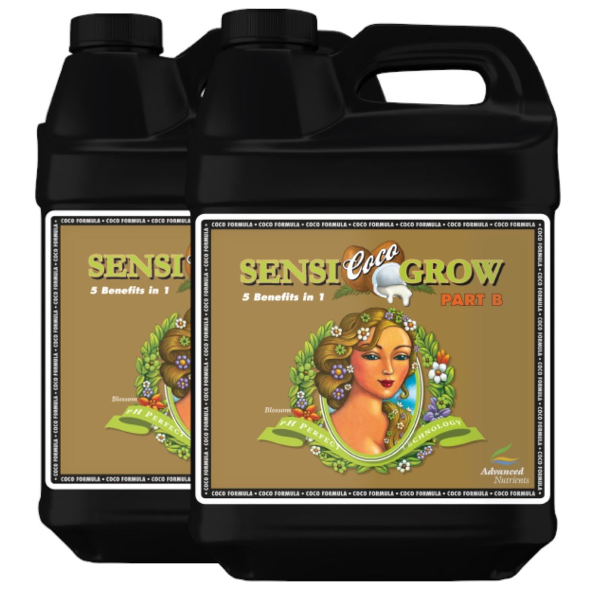Advanced Nutrients pH Perfect Sensi Coco Grow Part A + B