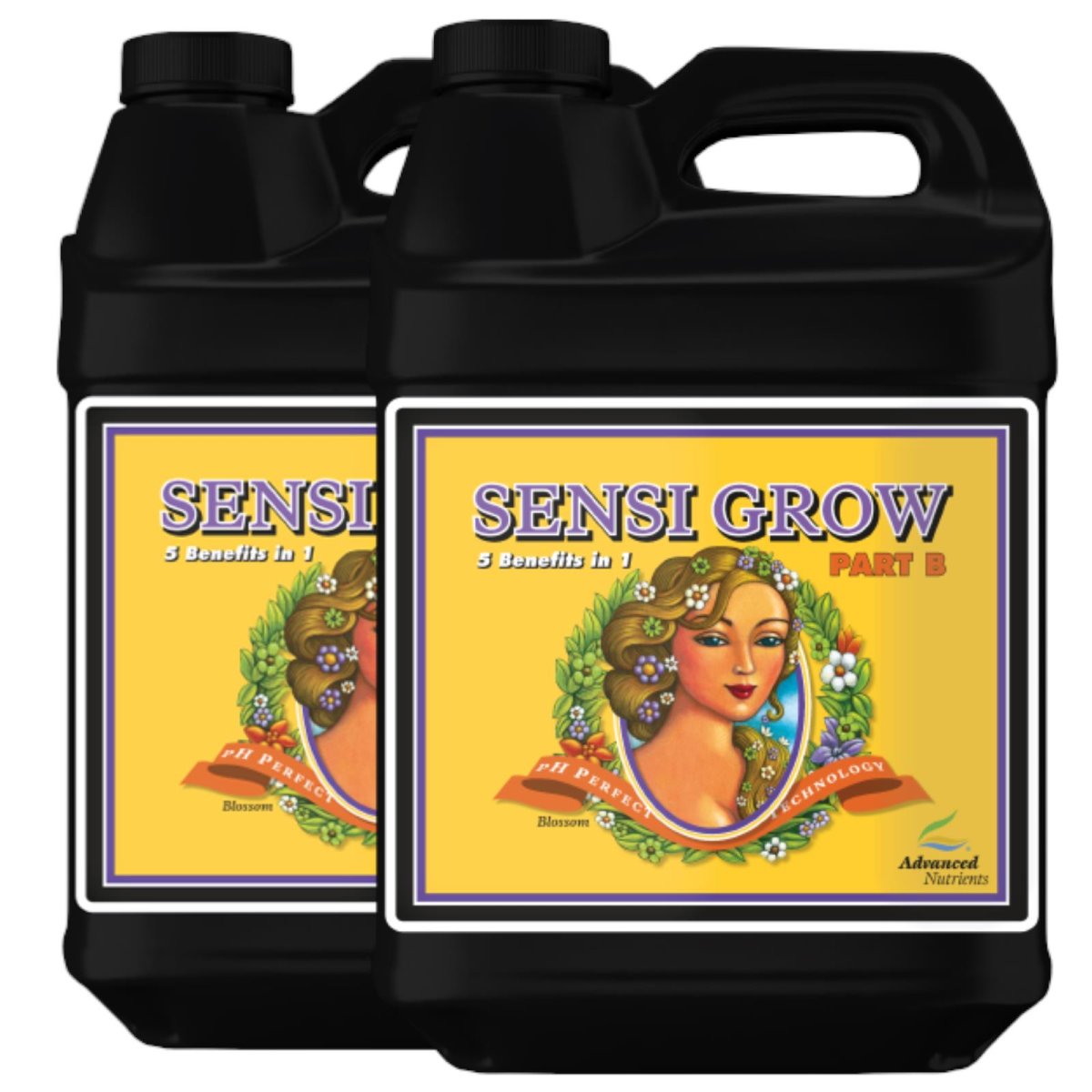 Advanced Nutrients pH Perfect Sensi Grow Part A + B 10 liters each