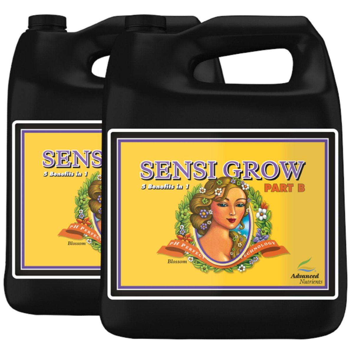 Advanced Nutrients pH Perfect Sensi Grow Part A + B je 4 Liter