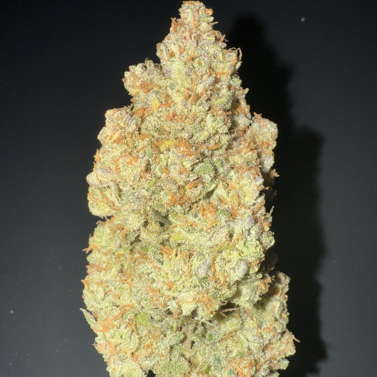 Amnesia seeds automatic - 1 seed