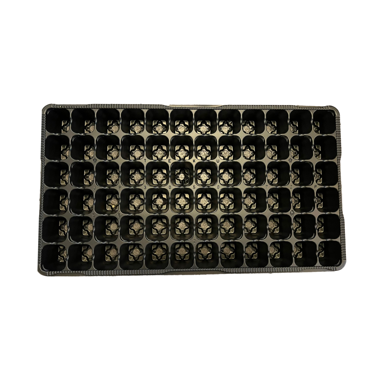 Square growing tray 72