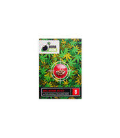 Big Bomb Auto (Bomb Seeds)