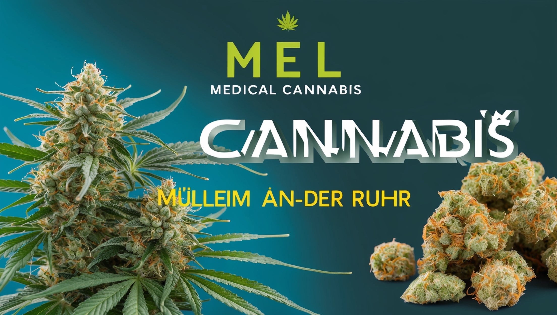 main-image-Cannabis Rezept Mülheim - Medizinisches Cannabis kaufen