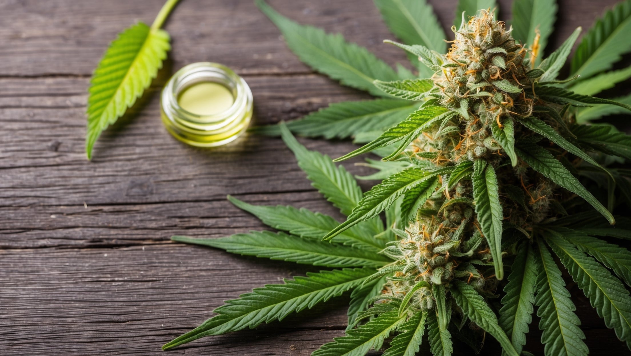 main-image-Cannabis Rezept Hagen - Medizinisches Cannabis kaufen