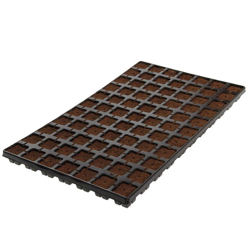 Eazy Plug cutting tray CT77 pieces cultivation mat