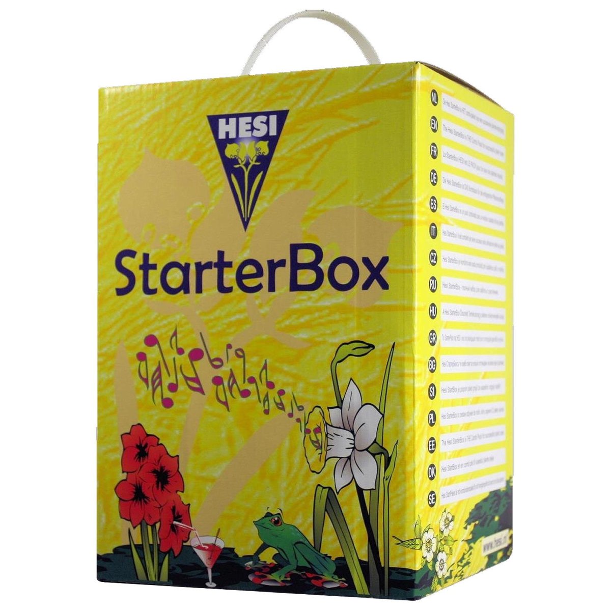Hesi Starterbox Erde