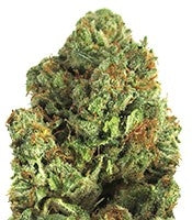 Midnight Mass (Heavyweight Seeds)