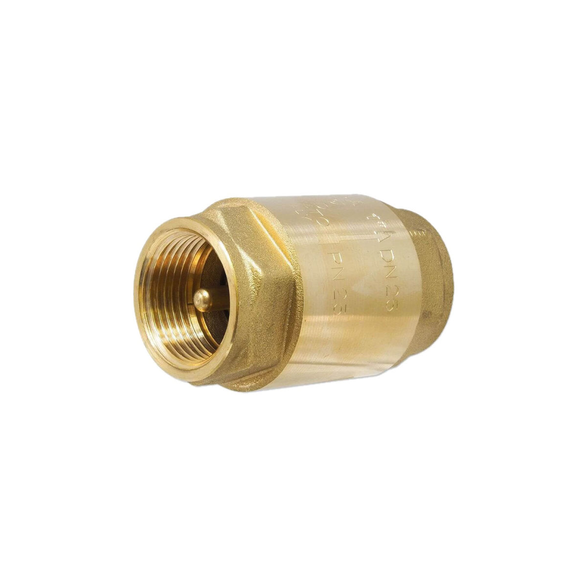 Check valve brass 1 inch