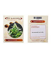 Ingemar's Punch regular (De Sjamaan Seeds)
