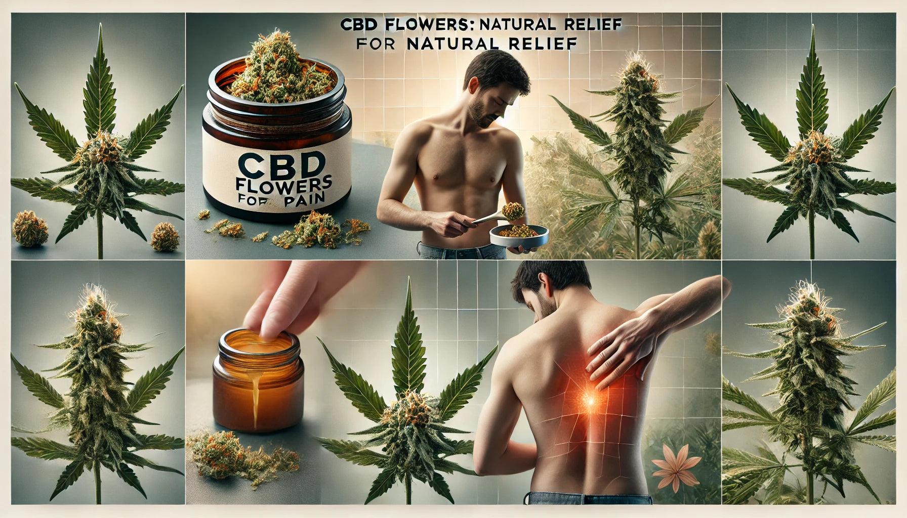 CBD Blüten gegen Schmerzen: Natürliche Linderung