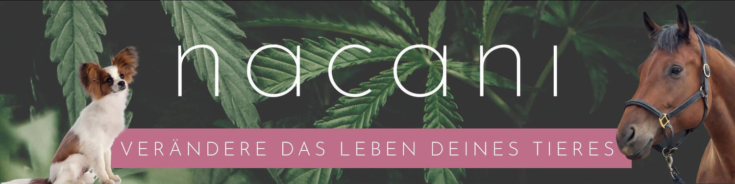 Revolutionäre CBD-Produkte für Haustiere von Nacani - aboutweed