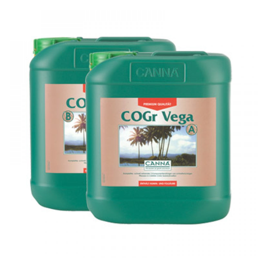 Canna Cogr Vega 1L, Wachstum