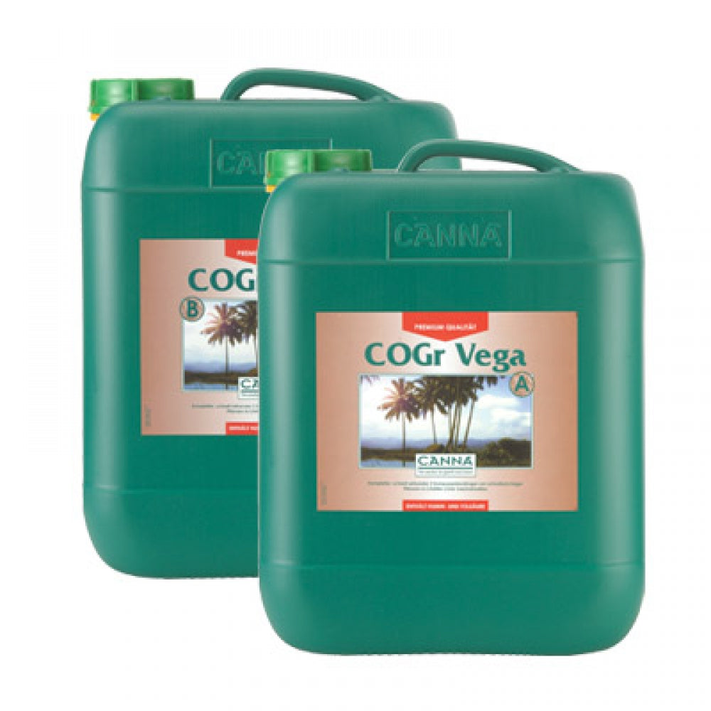 Canna Cogr Vega 1L, Wachstum