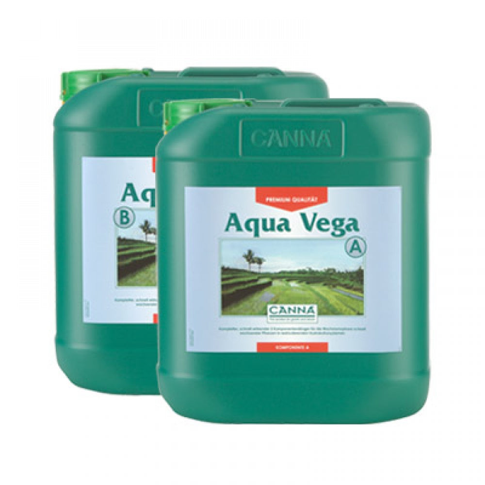 Canna Aqua Vega, Wachstum