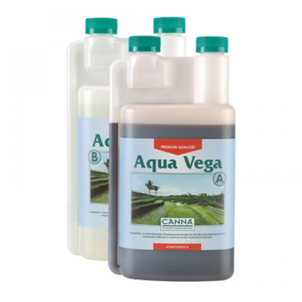 Canna Aqua Vega, Wachstum