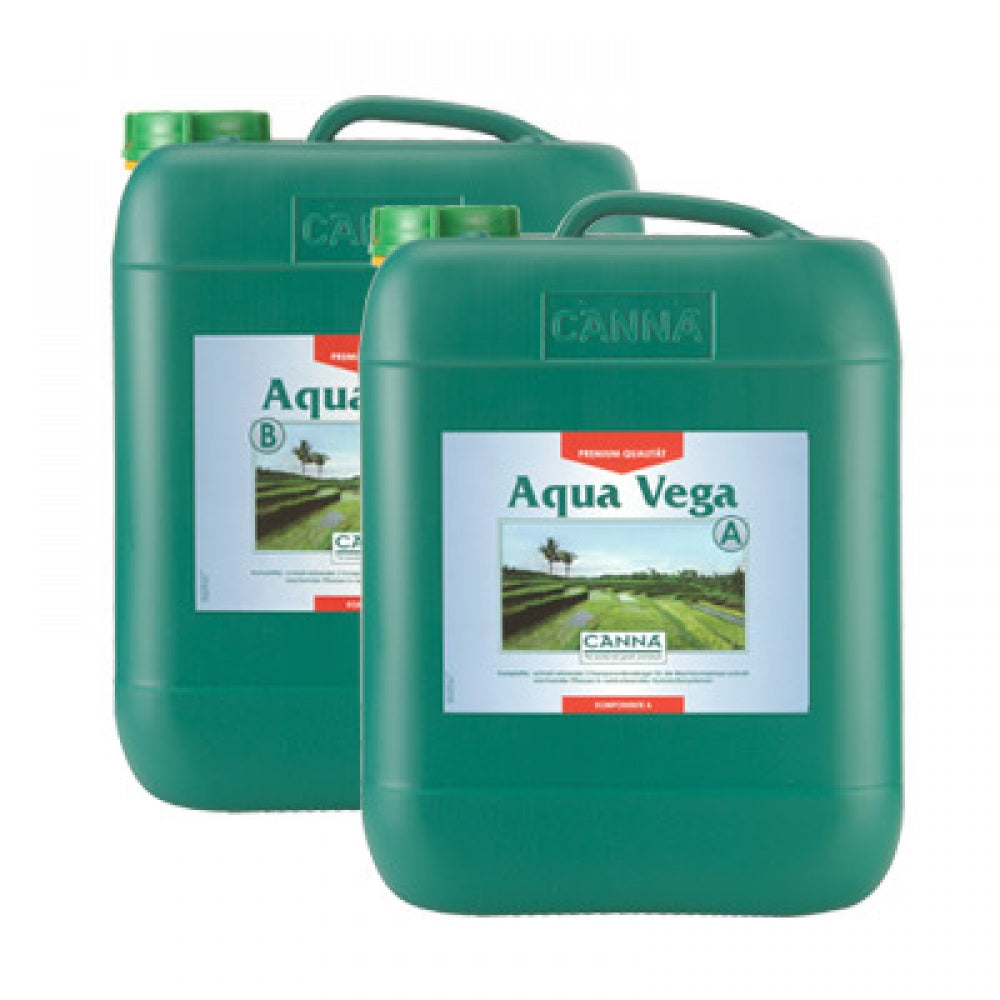 Canna Aqua Vega, Wachstum