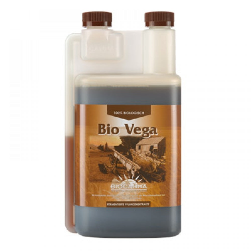 Canna Bio Vega, Wachstum