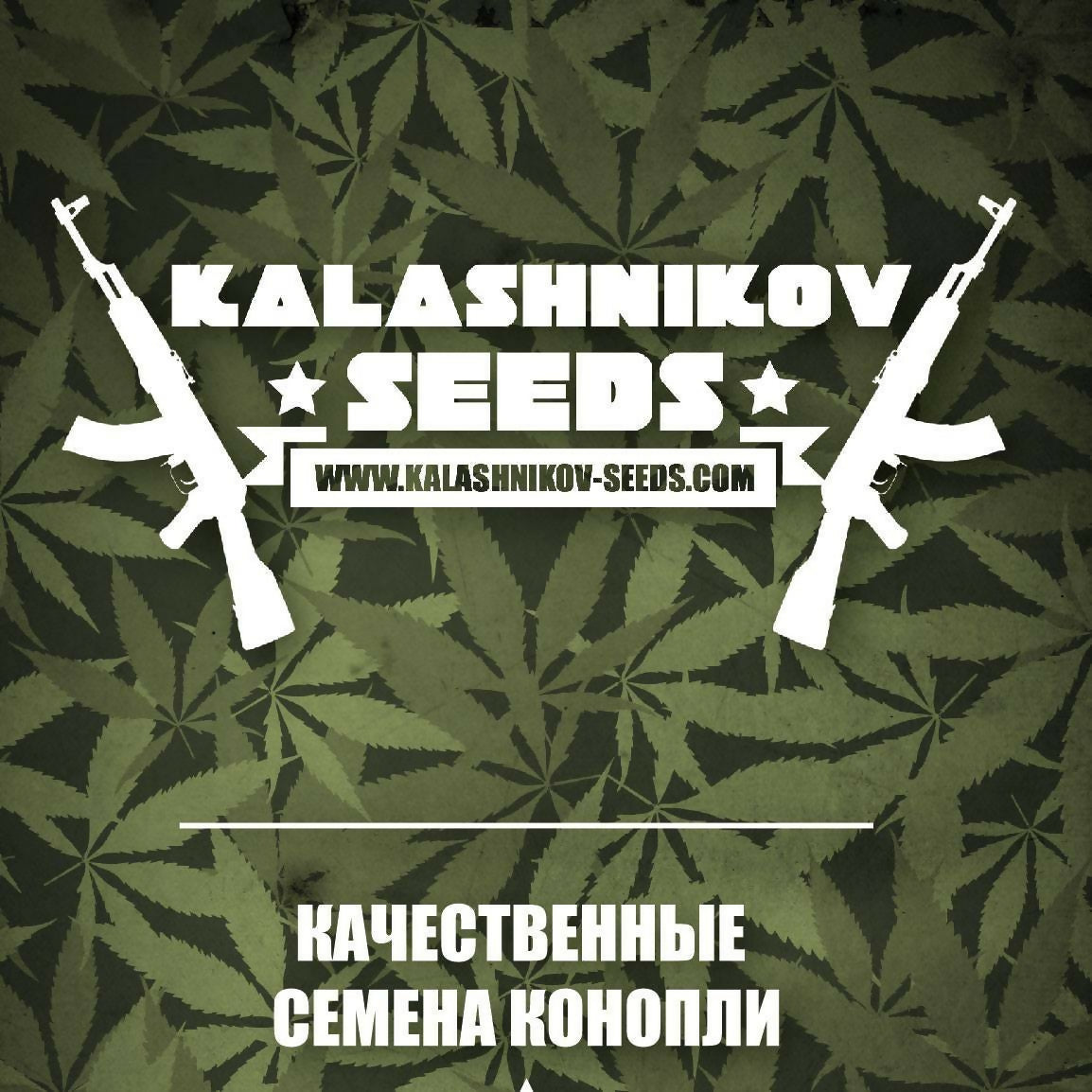 kalashnikov-seeds