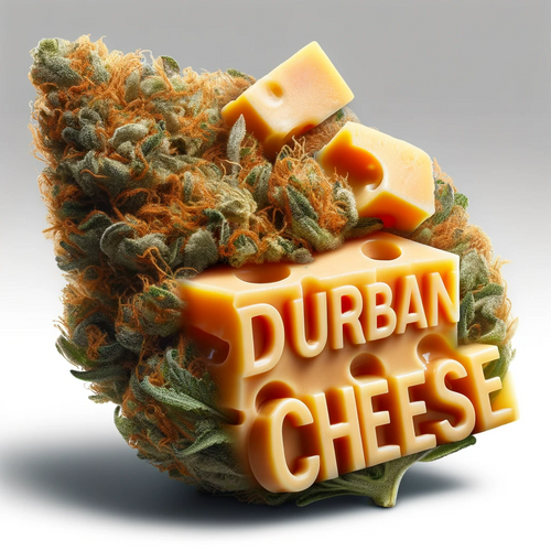 Durban Cheese