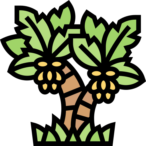 Icon Tropenfrüchte Palmen