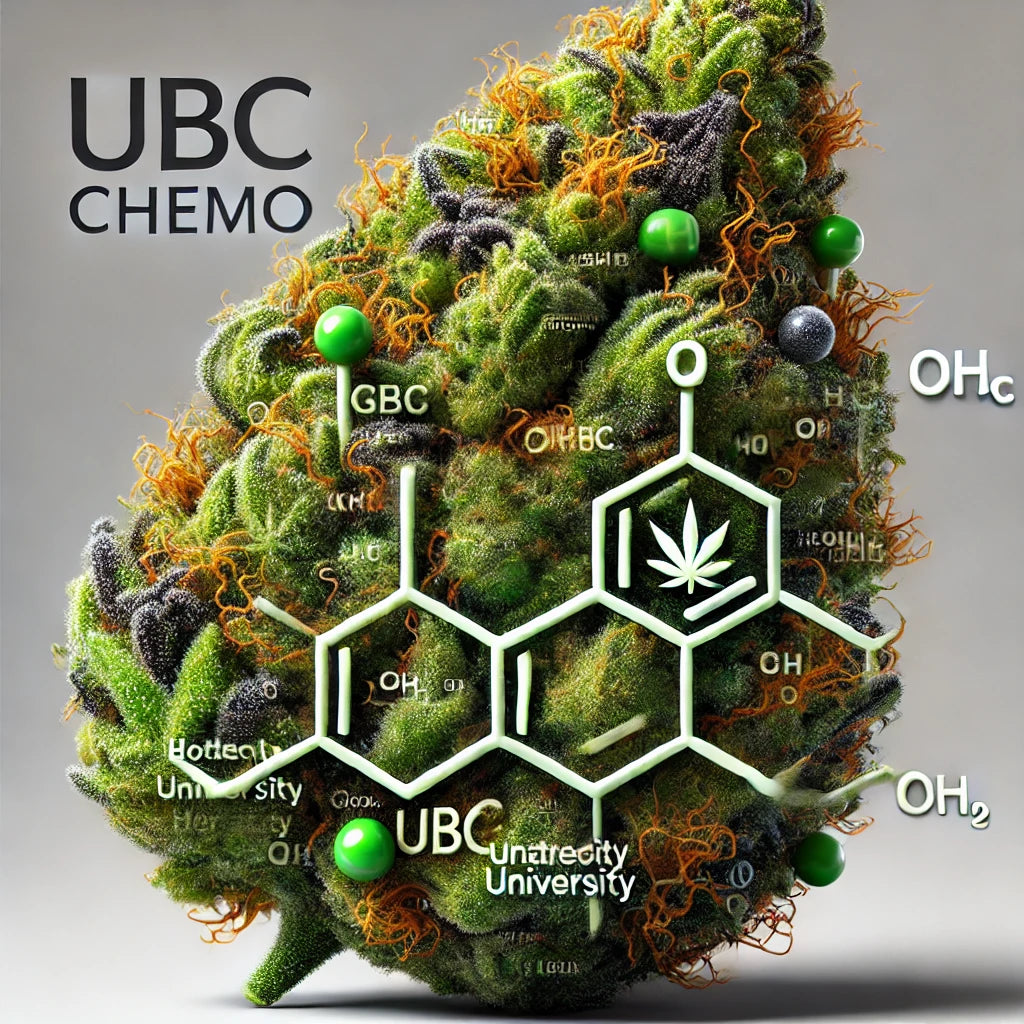 UBC Chemo Strain