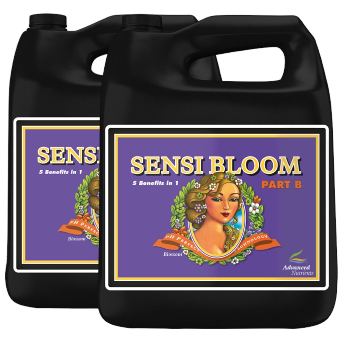 Advanced Nutrients pH Perfect Sensi Bloom Part A + B je 4 Liter