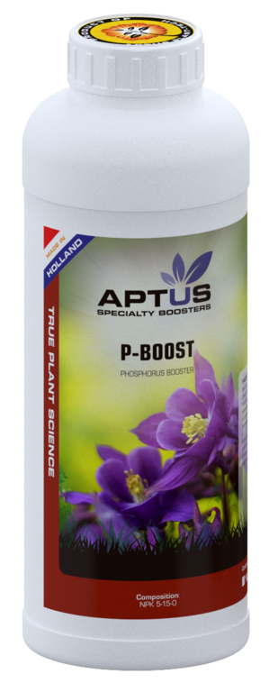 Aptus P-Boost