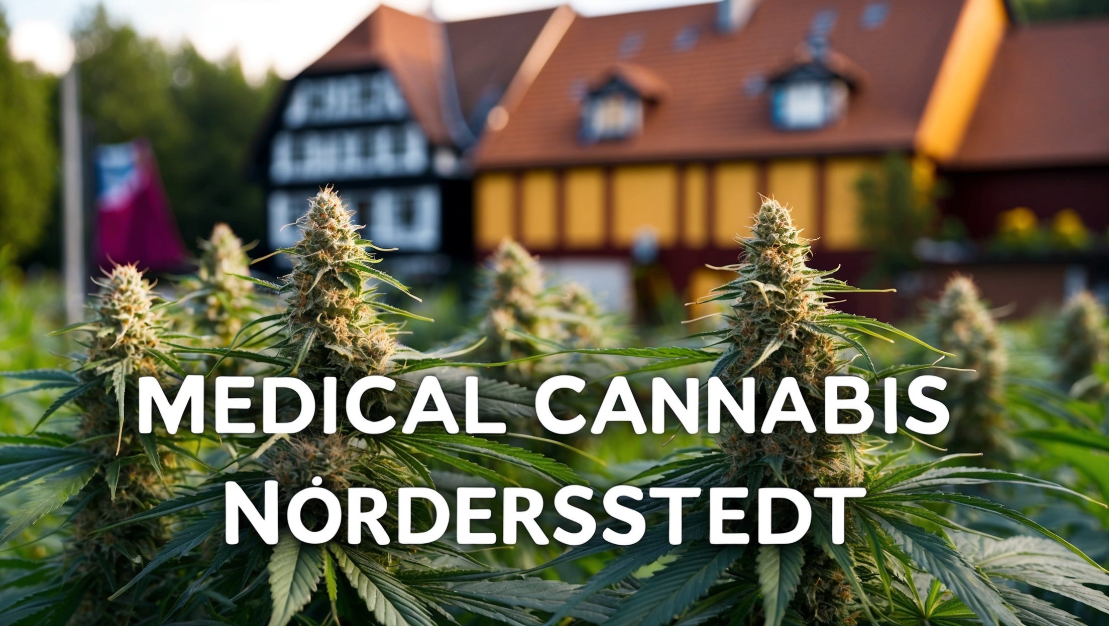 main-image-Cannabis Rezept Norderstedt - Medizinisches Cannabis kaufen