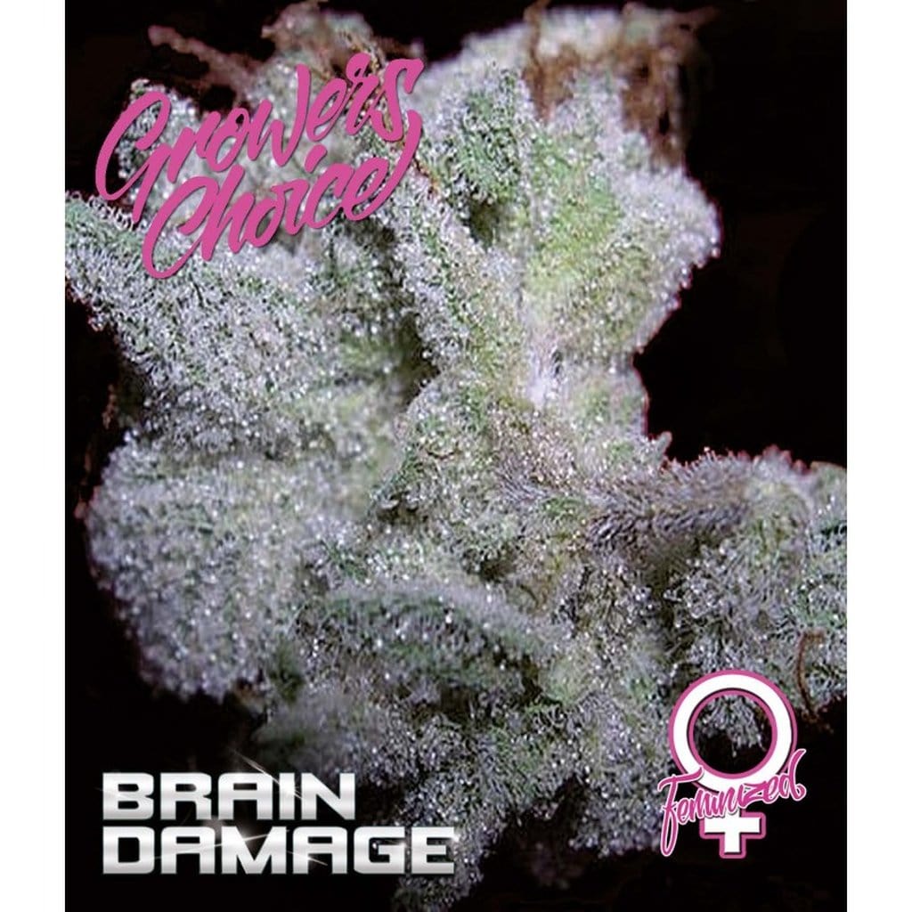 Brain Damage