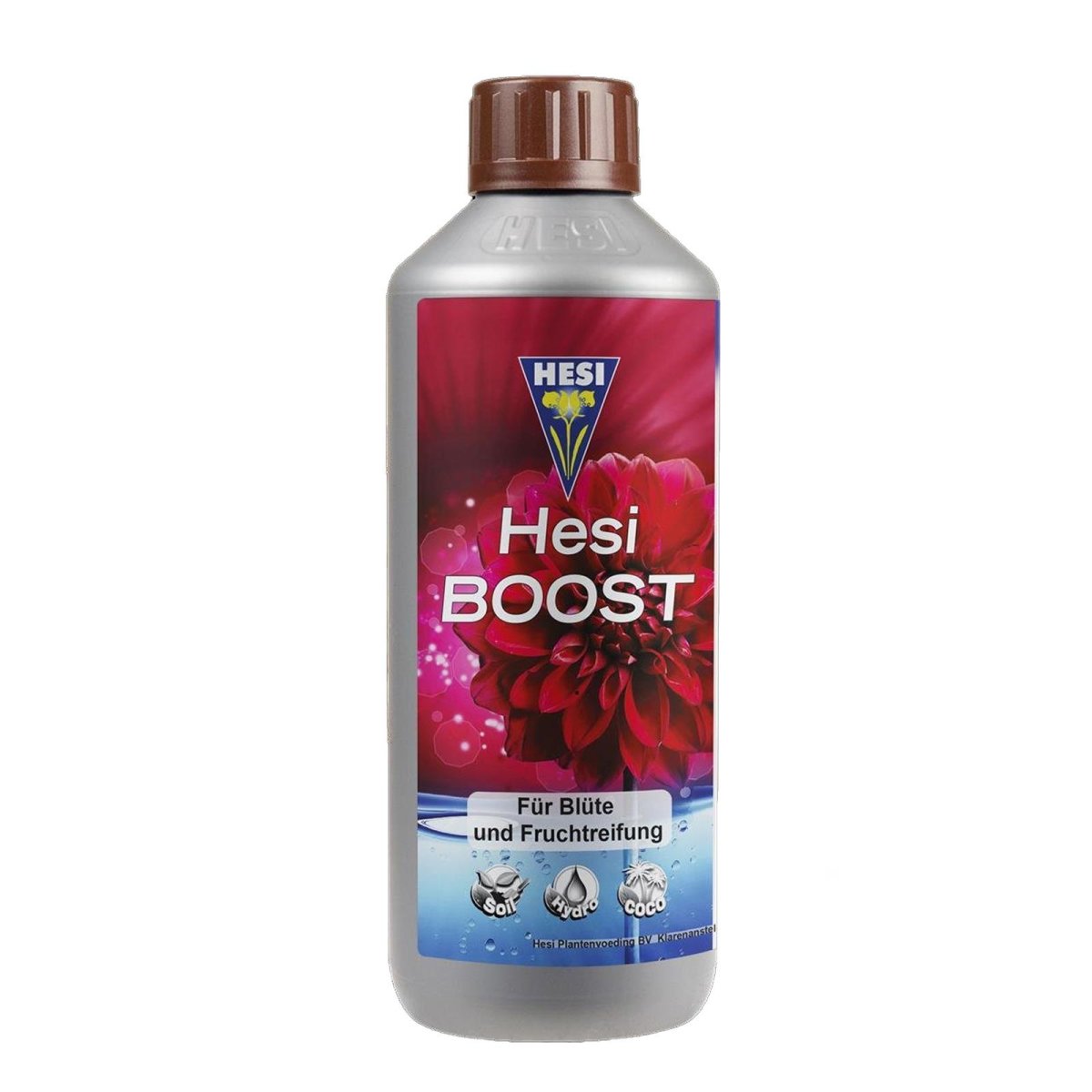 Hesi Boost