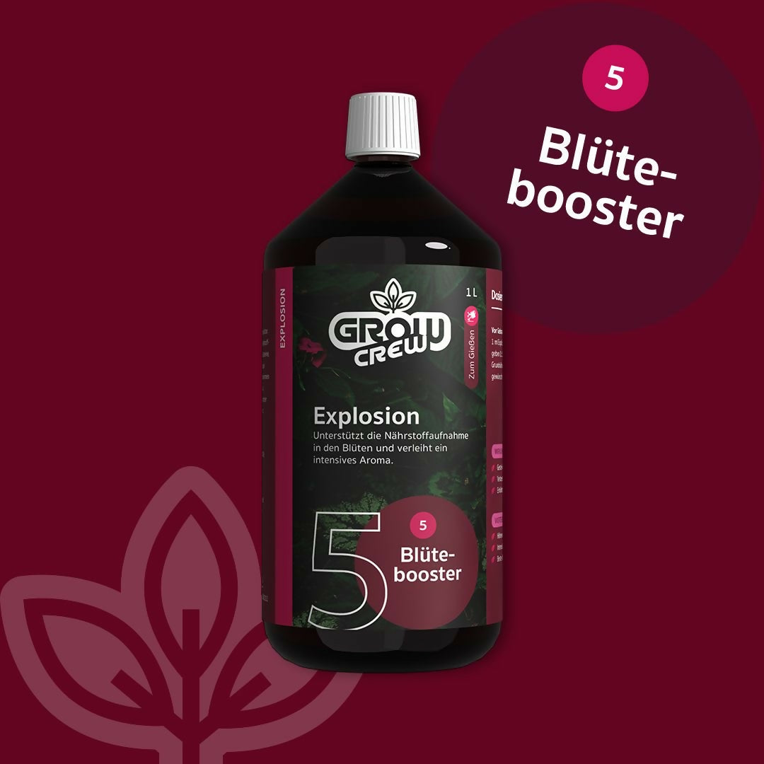 Explosion by GrowCrew | Bloom Booster (1000ml)