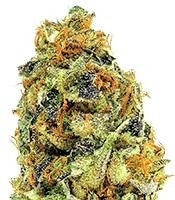 K.O. Kush (Heavyweight Seeds)